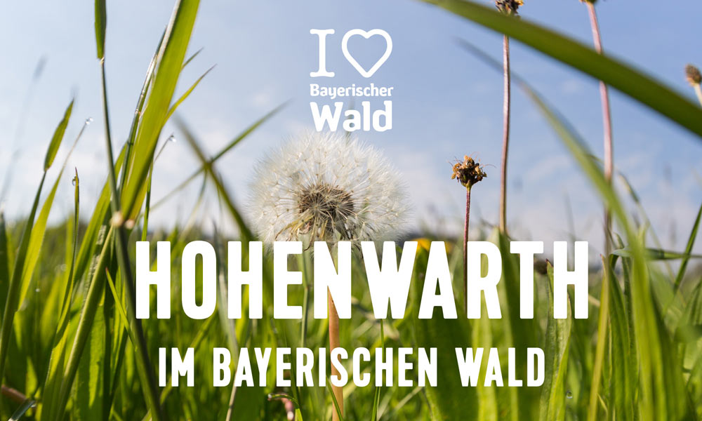 Sliderbild