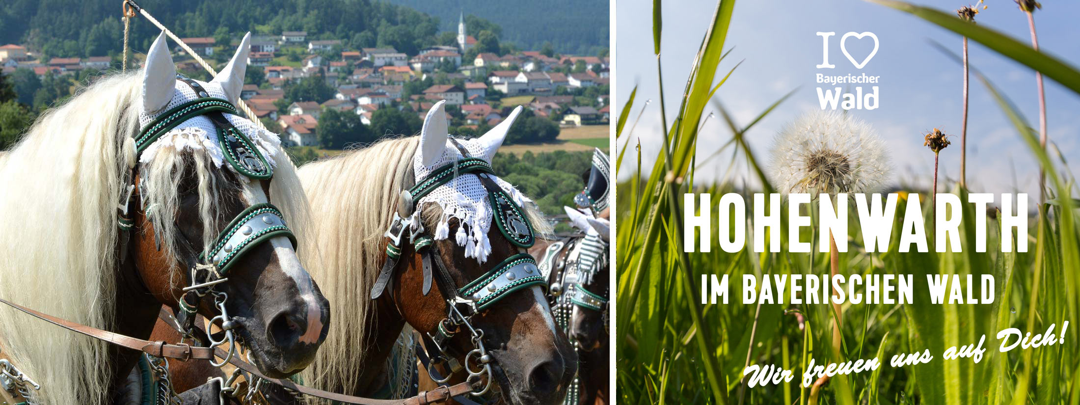 Startseite Gemeinde Hohenwarth